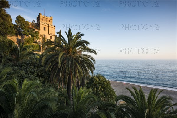 Villa with palm trees by the sea