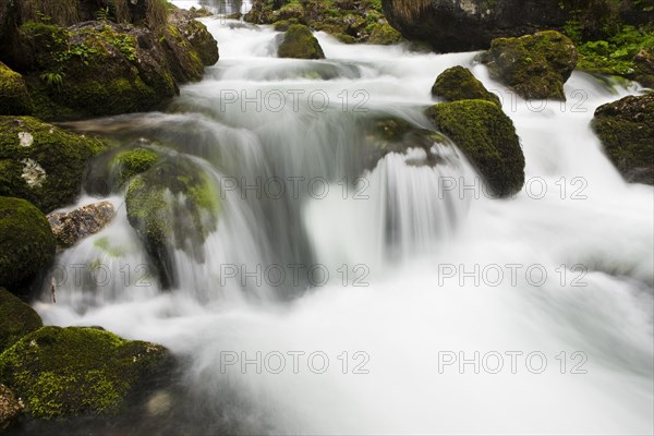 Brook with moss-covered stones