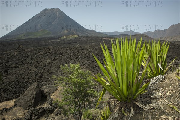 The volcano Pico do Fogo