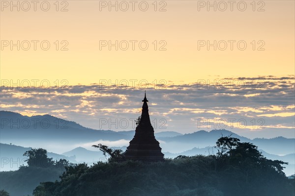 Pagoda surrounded by trees