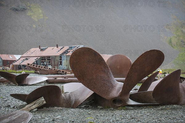 Huge old ships' propellors lying between the houses of the former Stromness whaling station