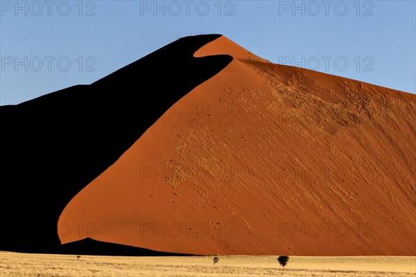 Red dune