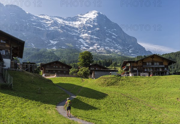 Traditional wooden houses