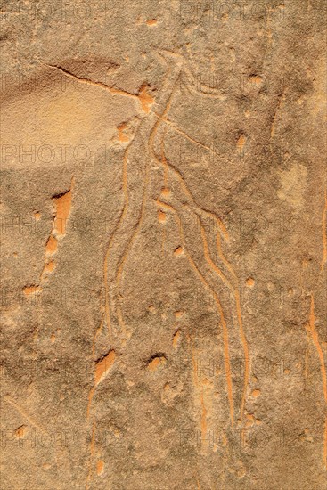 Small rock engraving of a gazelle