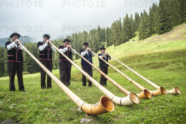 Group of alphorn players performing on a meadow in Justistal valley