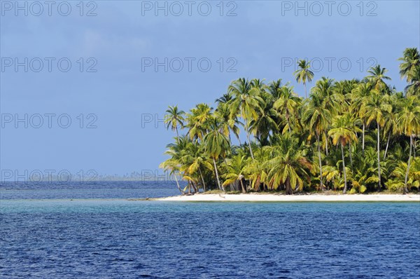 Tropical island with palm trees