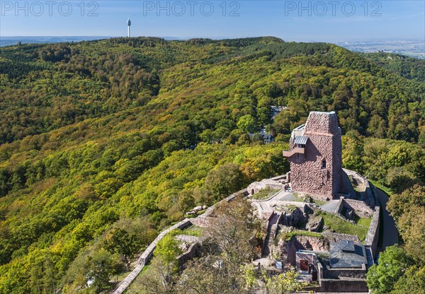 Ruins of the Reichsburg Kyffhausen