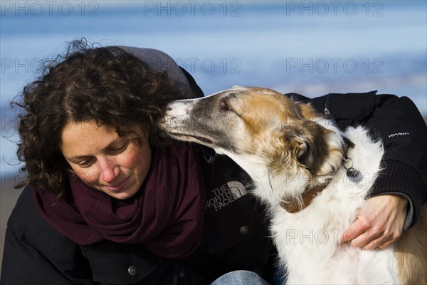 Borzoi or Russian Wolfhound