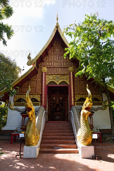 Naga staircase at the entrance