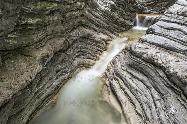 Tributary of the Taugl river