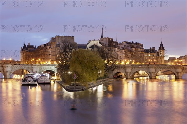 Bridge Pont Neuf and the Ile de la Cite