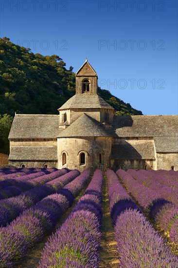 The Romanesque Cistercian Abbey of Notre Dame of Senanque