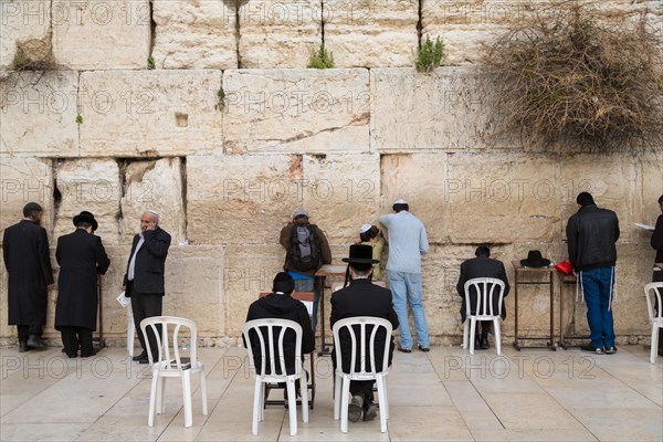 Orthodox Jews praying at the Western Wall