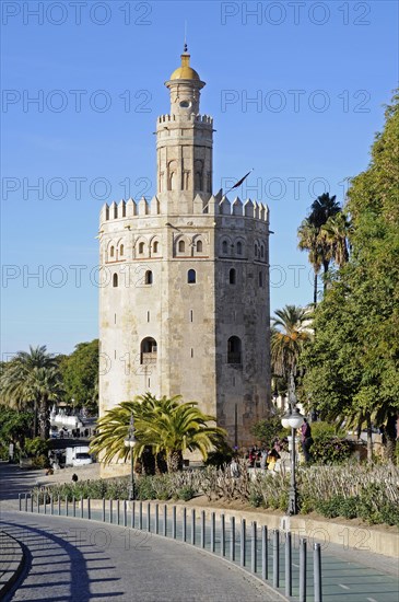 Torre del Oro