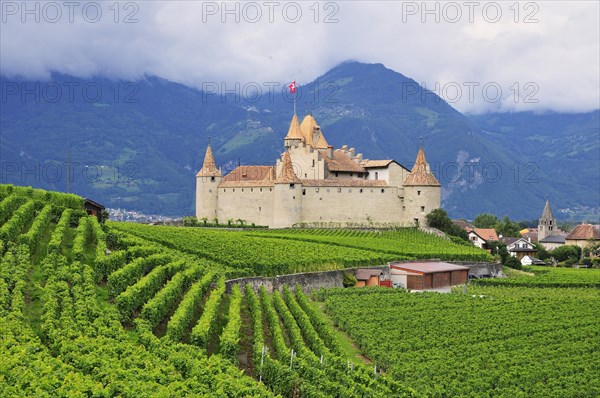 Chateau d' Aigle or Aigle Castle