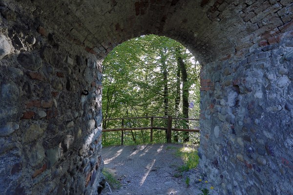 View from the Homburg ruins