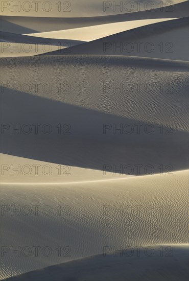 Mesquite Flat Sand Dunes in the evening