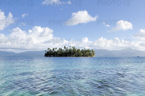 Tropical island with palm trees