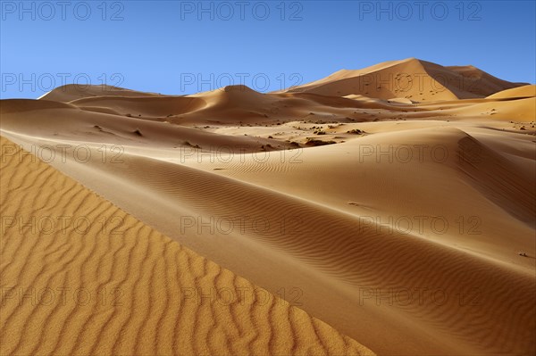 Sahara sand dunes of erg Chebbi