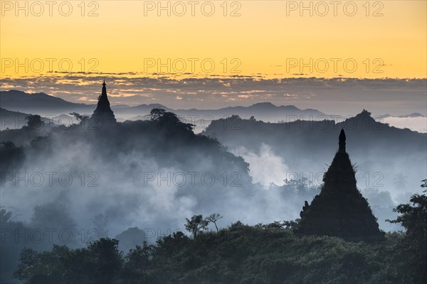 Pagodas surrounded by trees