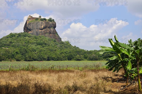 The Lion Rock