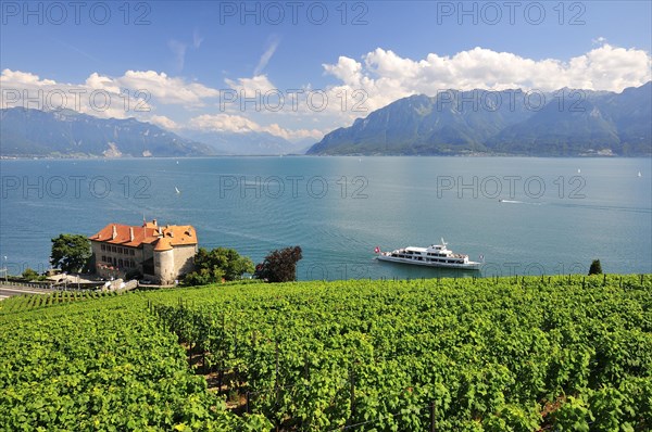 Views over the vineyards with Chateau de Glerolles and Lake Geneva towards the Swiss Rhone Valley