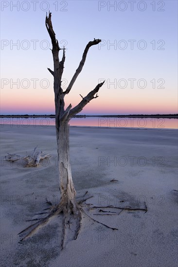 Lake Ninan