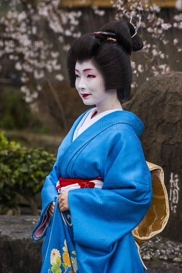 Geisha in the Geisha quarter Gion