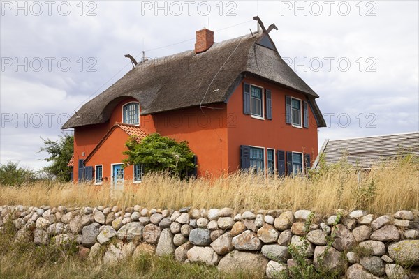 House with thatched roof