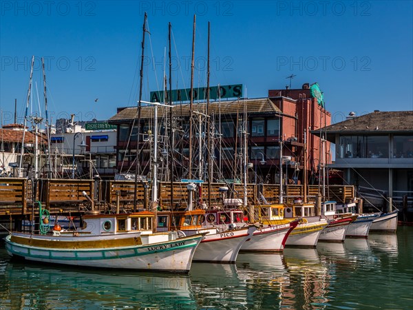 Fishing boats