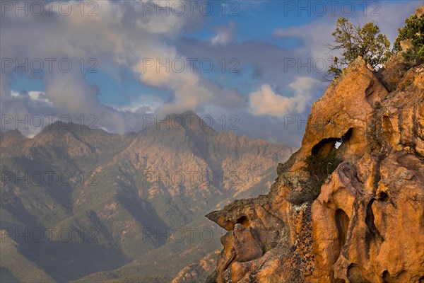 Bizarre rock erosions in the evening light