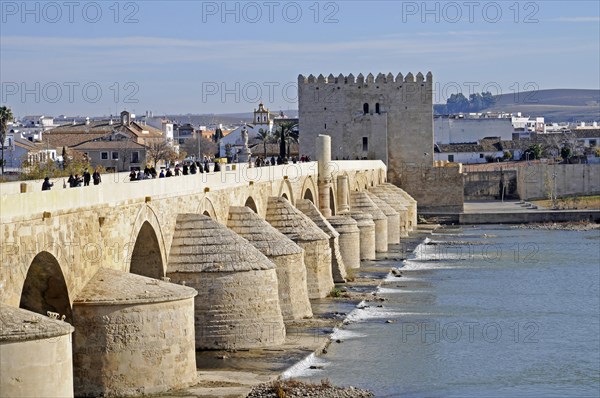 Puente Romano