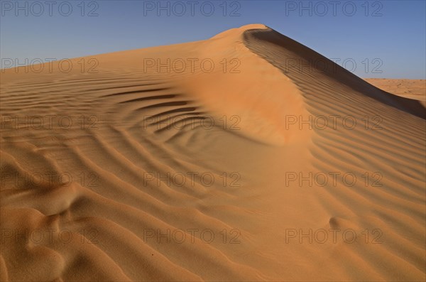 The sand dunes of the Wahiba Sands desert