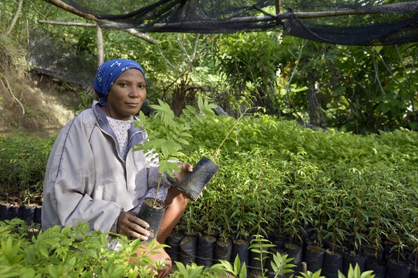 Woman holding seedlings in a nursery