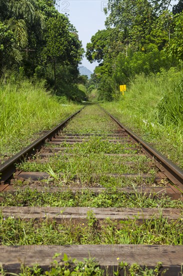 Old train tracks