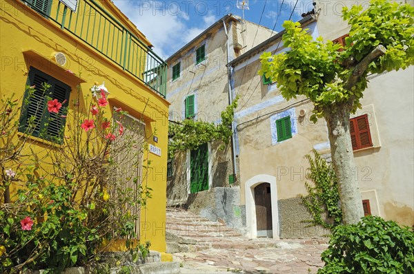 Alley with houses in the village of Estellencs