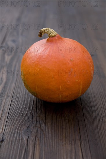 Hokkaido pumpkin