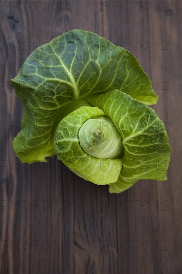 Pointed cabbage