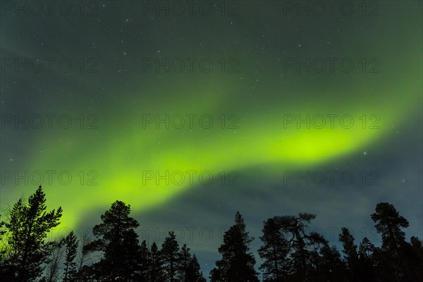 Northern Lights