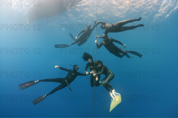 Freedivers