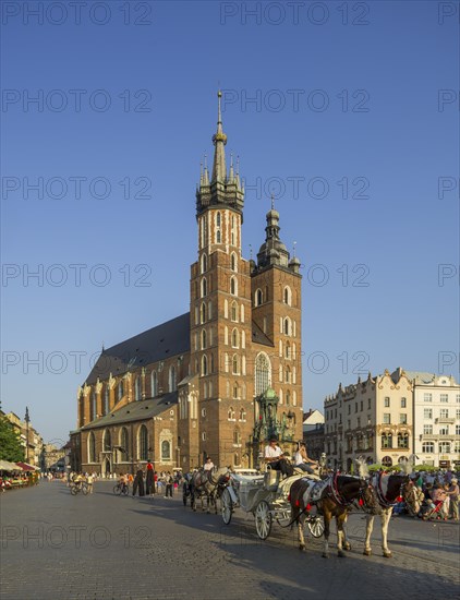 Gothic St. Mary's Basilica