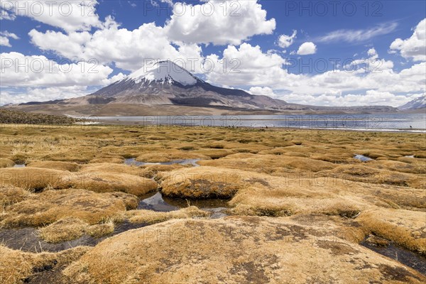 Lago Chungara lake