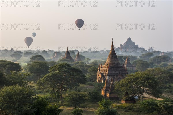 Hot air balloons over the landscape in the early morning fog