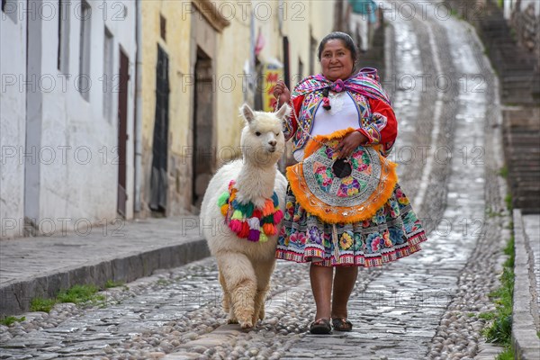Local woman in traditional costume with a decorated Alpaca (Vicugna pacos)