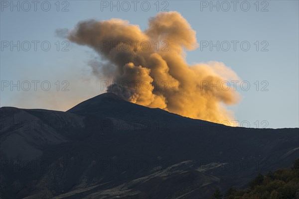 Eruption cloud in the evening light above the new northeast crater