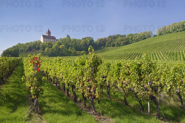 Stocksberg Castle