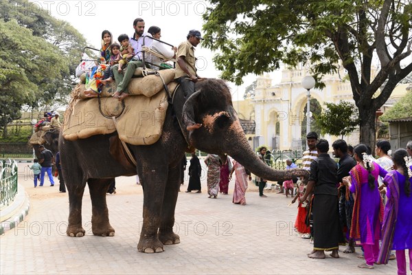 Tourists riding an elephant