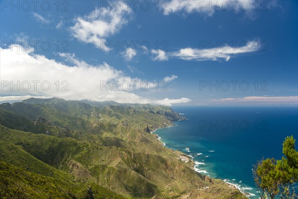 Cabezo del Tejo