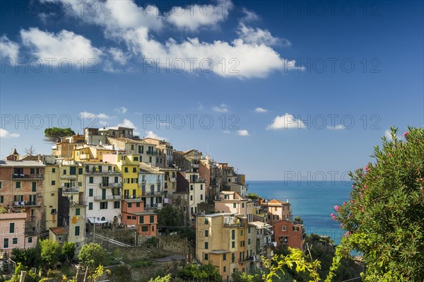 Village with colorful houses by the sea