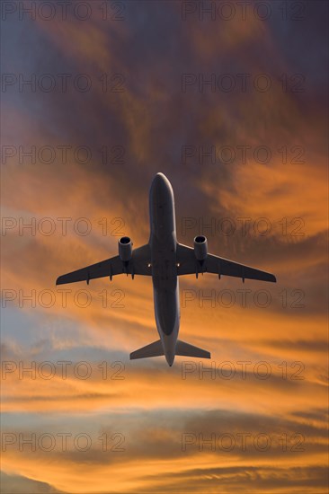Lufthansa Airbus in flight